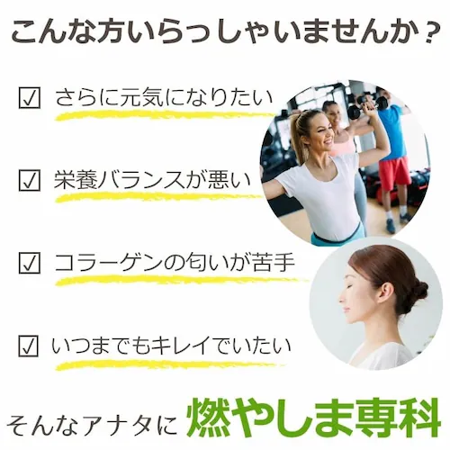【送料無料】燃やしま専科 500g 【メーカー正規品】毎日の健康をサポートするスポーツ飲料♪ サポート 健康食品 エナジークエスト サプリメント サプリ クエン酸 コラーゲンペプチド グルコサミン 食_3