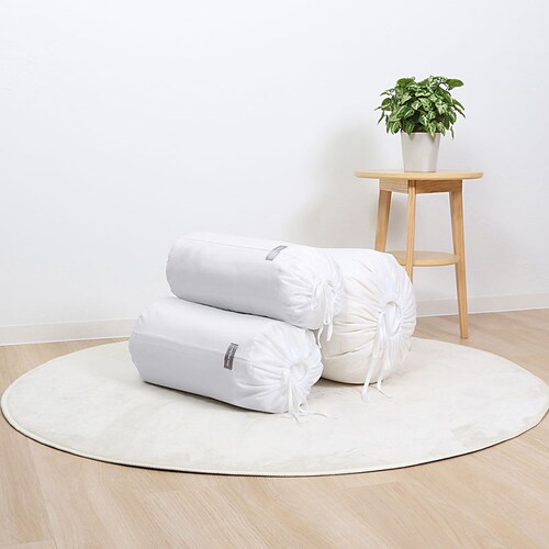 �C�[�W�[���[���o�b�O  L �z���C�g 2���g mp_6