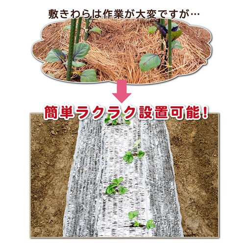 敷きわら風キラキラシート1×10m_1