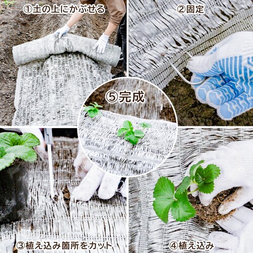 敷きわら風キラキラシート1×10m_5