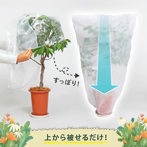 植木が見える 不織布防虫・霜よけカバー 5枚組_4