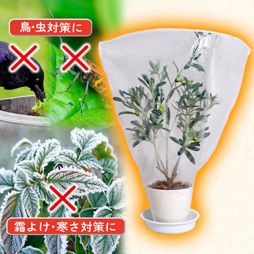 植木が見える 不織布防虫・霜よけカバー 5枚組_6