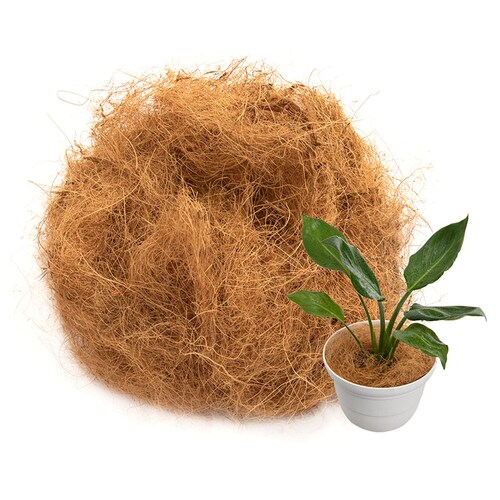 �R�R���V�t�@�C�o�[ 100g_1