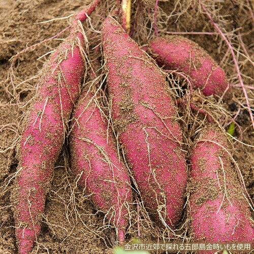 五郎島金時 ミニバウムクーヘン 15個 (ミニバウムクーヘン×15/常温) YJ-GOA ギフト 贈り物 お取り寄せ_4