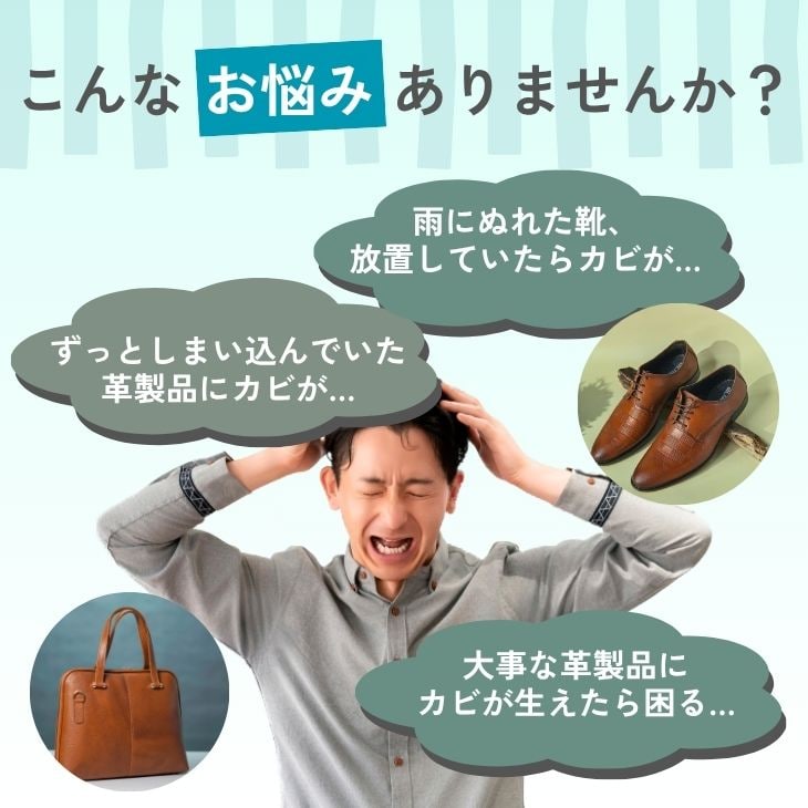 レザーキュア カビ用ミスト カビ取り 防カビ 抗菌剤 革用 靴用 カビ