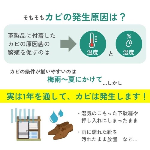 ���U�[�L���A �J�r�p�~�X�g �J�r��� �h�J�r �R�ۍ� �v�p �C�p �J�r�\�h �u�[�c �o�b�O �J�r�΍�_2