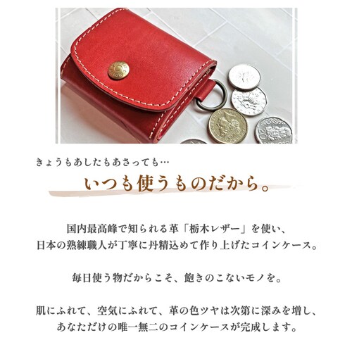 �R�C���P�[�X ���K���� ���z �����Y ���f�B�[�X �v �{�v �Ȗ؃��U�[ �u�����h ���{�� ������_1