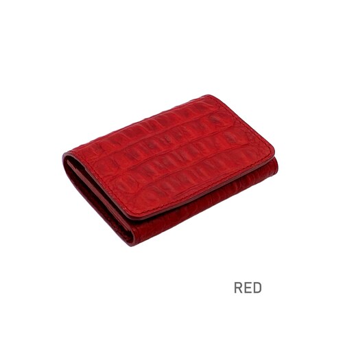 ���h���� �����Y ���f�B�[�X �{�v �v �C�^���A�����U�[ �u�����h ���{�� ���v �v ���U�[ ������� �V���v�� �d�؂� �J�[�h�P�[�X 2�|�P�b�g �N���R �N���R�_�C��_17