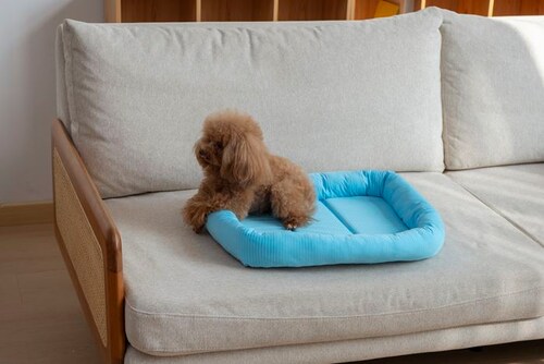 �y�b�g�x�b�g �Ђ��� �ʔ� �X�N�G�A�y�b�g�x�b�h �X�N�G�A �N�[���p�b�h �y�b�g�}�b�g �ڐG�⊴�f�� �N�[���x�b�h ���K ������ �Ђ���x�b�h �����΍� ���� �􂦂� ���� ���炳����K �y�b�g_1