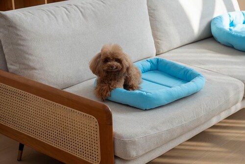 �y�b�g�x�b�g �Ђ��� �ʔ� �X�N�G�A�y�b�g�x�b�h �X�N�G�A �N�[���p�b�h �y�b�g�}�b�g �ڐG�⊴�f�� �N�[���x�b�h ���K ������ �Ђ���x�b�h �����΍� ���� �􂦂� ���� ���炳����K �y�b�g_3