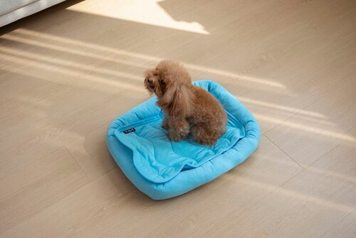 �y�b�g�x�b�g �Ђ��� �ʔ� �X�N�G�A�y�b�g�x�b�h �X�N�G�A �N�[���p�b�h �y�b�g�}�b�g �ڐG�⊴�f�� �N�[���x�b�h ���K ������ �Ђ���x�b�h �����΍� ���� �􂦂� ���� ���炳����K �y�b�g_5