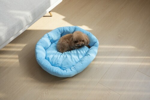 �y�b�g�x�b�g �Ђ��� �ʔ� ���E���h�y�b�g�x�b�h ���E���h �y�b�g�}�b�g �N�[���p�b�h �N�[���x�b�h �ڐG�⊴�f�� �����΍� �Ђ���x�b�h ���K ������ ���� ���炳����K �􂦂� ���� �y�b�g_4