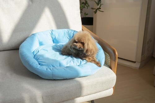 �y�b�g�x�b�g �Ђ��� �ʔ� ���E���h�y�b�g�x�b�h ���E���h �y�b�g�}�b�g �N�[���p�b�h �N�[���x�b�h �ڐG�⊴�f�� �����΍� �Ђ���x�b�h ���K ������ ���� ���炳����K �􂦂� ���� �y�b�g_5