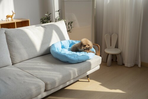 �y�b�g�x�b�g �Ђ��� �ʔ� ���E���h�y�b�g�x�b�h ���E���h �y�b�g�}�b�g �N�[���p�b�h �N�[���x�b�h �ڐG�⊴�f�� �����΍� �Ђ���x�b�h ���K ������ ���� ���炳����K �􂦂� ���� �y�b�g_6