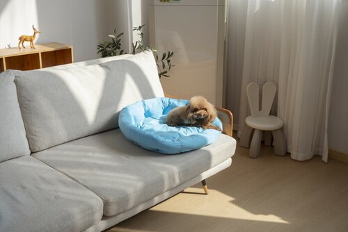 �y�b�g�x�b�g �Ђ��� �ʔ� ���E���h�y�b�g�x�b�h ���E���h �y�b�g�}�b�g �N�[���p�b�h �N�[���x�b�h �ڐG�⊴�f�� �����΍� �Ђ���x�b�h ���K ������ ���� ���炳����K �􂦂� ���� �y�b�g_7