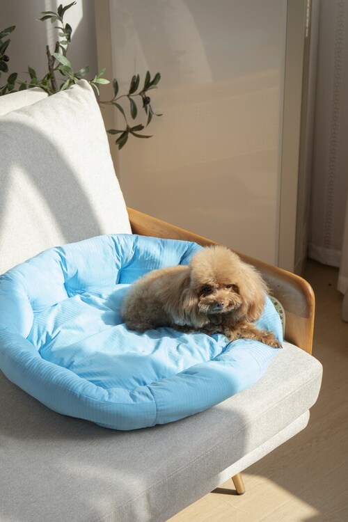 �y�b�g�x�b�g �Ђ��� �ʔ� ���E���h�y�b�g�x�b�h ���E���h �y�b�g�}�b�g �N�[���p�b�h �N�[���x�b�h �ڐG�⊴�f�� �����΍� �Ђ���x�b�h ���K ������ ���� ���炳����K �􂦂� ���� �y�b�g_8