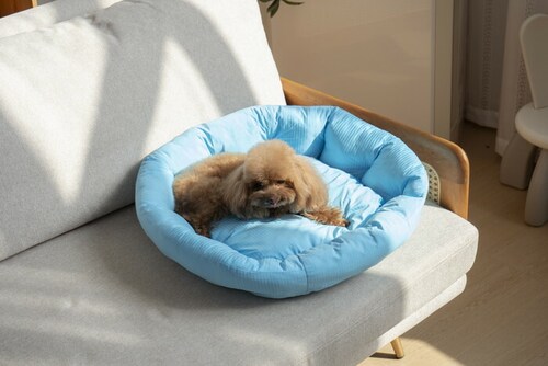 �y�b�g�x�b�g �Ђ��� �ʔ� ���E���h�y�b�g�x�b�h ���E���h �y�b�g�}�b�g �N�[���p�b�h �N�[���x�b�h �ڐG�⊴�f�� �����΍� �Ђ���x�b�h ���K ������ ���� ���炳����K �􂦂� ���� �y�b�g_9