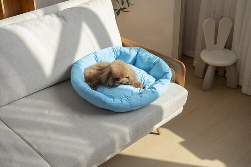 �y�b�g�x�b�g �Ђ��� �ʔ� ���E���h�y�b�g�x�b�h ���E���h �y�b�g�}�b�g �N�[���p�b�h �N�[���x�b�h �ڐG�⊴�f�� �����΍� �Ђ���x�b�h ���K ������ ���� ���炳����K �􂦂� ���� �y�b�g_10