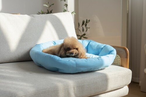 �y�b�g�x�b�g �Ђ��� �ʔ� ���E���h�y�b�g�x�b�h ���E���h �y�b�g�}�b�g �N�[���p�b�h �N�[���x�b�h �ڐG�⊴�f�� �����΍� �Ђ���x�b�h ���K ������ ���� ���炳����K �􂦂� ���� �y�b�g_11