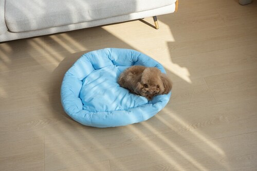 �y�b�g�x�b�g �Ђ��� �ʔ� ���E���h�y�b�g�x�b�h ���E���h �y�b�g�}�b�g �N�[���p�b�h �N�[���x�b�h �ڐG�⊴�f�� �����΍� �Ђ���x�b�h ���K ������ ���� ���炳����K �􂦂� ���� �y�b�g_12