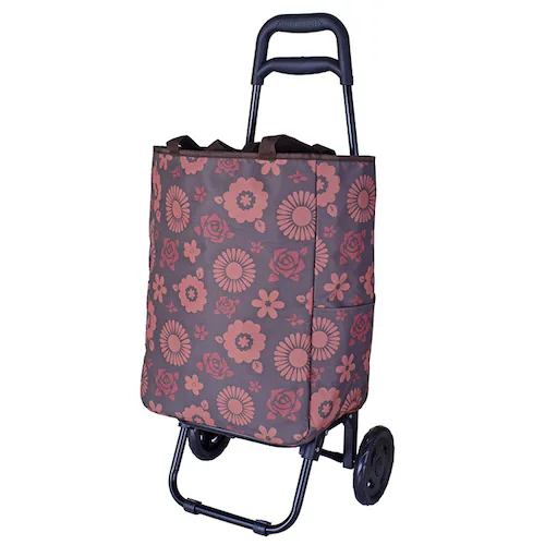 �V���b�s���O�J�[�g ������� �ʔ� �V���b�s���O�L�����[�J�[�g ���������L�����[ �J�[�g �\�t�g�L�����[�o�b�N �G�R�o�b�O �L�����[�t�� �ۗ�o�b�O �ۗ�g�[�g�o�b�O �L���X�^�[�t�� �傫�� �L���X�^_12