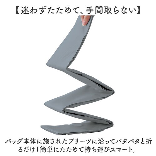 motteru エコバッグ 通販 モッテル パタント MO-1125 レジカゴ用バッグ エコバック 保冷バッグ 大容量 折り畳み ポケッタブル パッカブル 折りたたみ サブバッグ クーラーバッグ コン_2