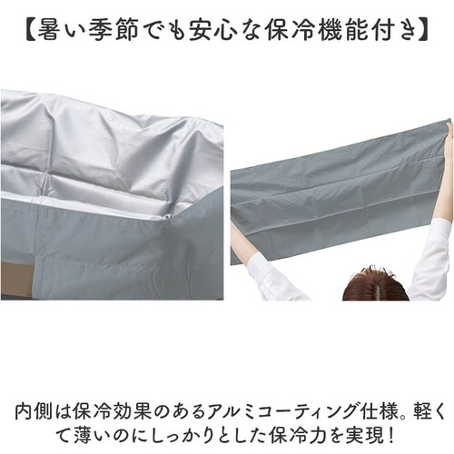 motteru エコバッグ 通販 モッテル パタント MO-1125 レジカゴ用バッグ エコバック 保冷バッグ 大容量 折り畳み ポケッタブル パッカブル 折りたたみ サブバッグ クーラーバッグ コン_4