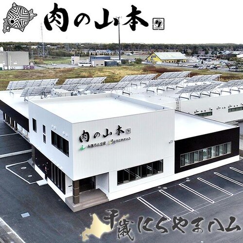 北海道産 特選ハンバーグ 6個セット(ソース付き/冷凍)ハンバーグ ソース 牛肉 ギフト 肉の山本 お取り寄せ_10