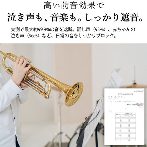 �y���������z�����Ղ�Ռ��J�[�e��+�~���[���[�X�J�[�e��  100X90cm�i100X88cm) 4���g�@�A�C�X�O���[_4