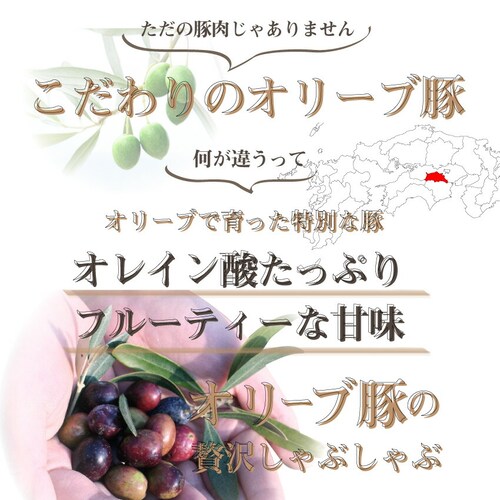 【しゃぶまる】ギフト 食品 お祝い オリーブ豚肩ロースしゃぶしゃぶ 2人前 野菜付き セット 鍋セット 讃岐うどん付 ギフト プレゼント 肉 ブランド豚 贈り物 贈答 祝い 鍋 記念 豚肉 国産 ブラ_2