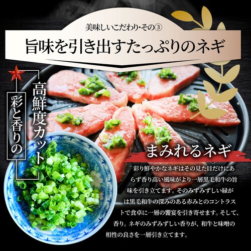 【しゃぶまる】A4,A5等級 特選 黒毛和牛 カルビ焼肉 ねぎまみれ 味噌ダレ&塩ダレ 食べ比べ 1kg(250g×各2) 牛肉 肉 食品 お祝い 霜降り 贅沢 黒毛 和牛 国産 祝い 記念 通販 グ_9