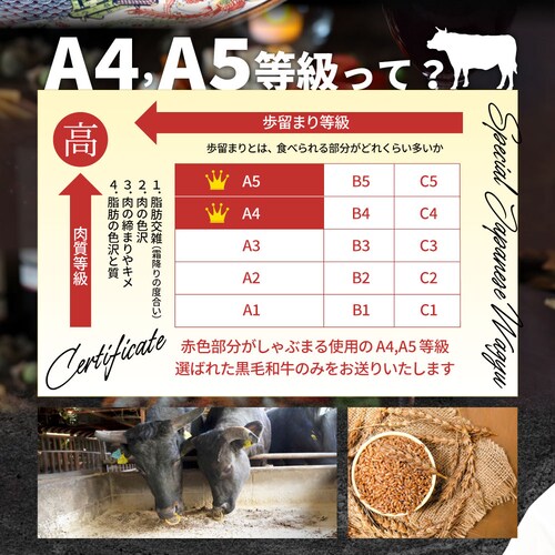 【しゃぶまる】肉 食品 お祝い 黒毛和牛 しゃぶしゃぶ すき焼き 赤身スライス 300g 凍眠 テクニカン ( A4 〜 A5等級 ) ギフト プレゼント 牛肉 赤身 贅沢 黒毛 和牛 国産 祝い 記_9