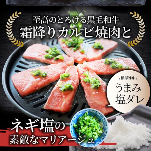 【しゃぶまる】A4,A5等級 特選 黒毛和牛 カルビ焼肉 250g ねぎまみれ 旨塩ダレ( A4 〜 A5等級 )牛肉 肉 食品 お祝い 霜降り 贅沢 黒毛 和牛 国産 祝い 記念 通販 グルメ 誕生_1