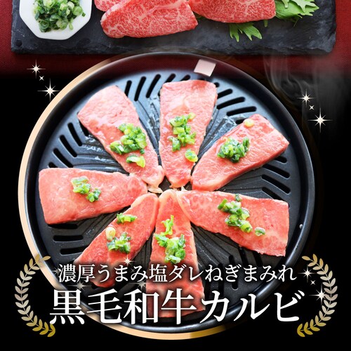 【しゃぶまる】A4,A5等級 特選 黒毛和牛 カルビ焼肉 250g ねぎまみれ 旨塩ダレ( A4 〜 A5等級 )牛肉 肉 食品 お祝い 霜降り 贅沢 黒毛 和牛 国産 祝い 記念 通販 グルメ 誕生_15