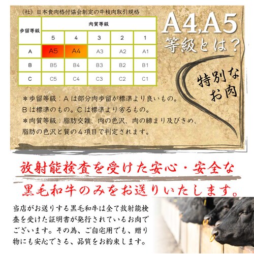 【しゃぶまる】肉 食品 お祝い 黒毛和牛 しゃぶしゃぶ すき焼き スライス 300g 凍眠 テクニカン ミスジ ( A4 〜 A5等級 )牛肉 赤身 黒毛 和牛 国産 祝い 記念 通販 グルメ 誕生日_16