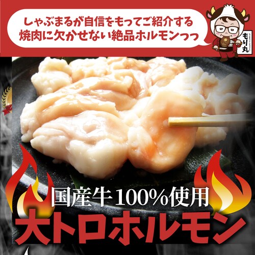 【しゃぶまる】国産牛 ホルモン 480g (240g×2袋) ほるもん 小腸 焼肉用 お得 焼肉 やきにく アウトドア お家焼肉 レジャー 冷凍 バーベキュー 肉 食材 セット_1