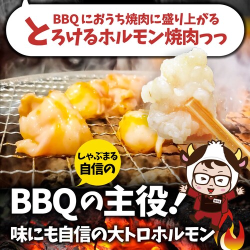 【しゃぶまる】国産牛 ホルモン 480g (240g×2袋) ほるもん 小腸 焼肉用 お得 焼肉 やきにく アウトドア お家焼肉 レジャー 冷凍 バーベキュー 肉 食材 セット_2