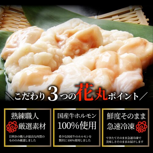 【しゃぶまる】国産牛 ホルモン 480g (240g×2袋) ほるもん 小腸 焼肉用 お得 焼肉 やきにく アウトドア お家焼肉 レジャー 冷凍 バーベキュー 肉 食材 セット_5