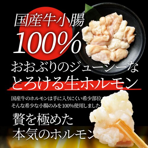【しゃぶまる】国産牛 ホルモン 480g (240g×2袋) ほるもん 小腸 焼肉用 お得 焼肉 やきにく アウトドア お家焼肉 レジャー 冷凍 バーベキュー 肉 食材 セット_6