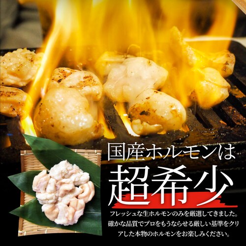 【しゃぶまる】国産牛 ホルモン 480g (240g×2袋) ほるもん 小腸 焼肉用 お得 焼肉 やきにく アウトドア お家焼肉 レジャー 冷凍 バーベキュー 肉 食材 セット_7