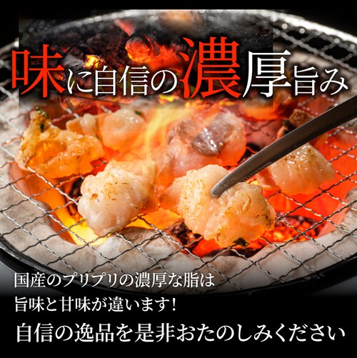 【しゃぶまる】国産牛 ホルモン 480g (240g×2袋) ほるもん 小腸 焼肉用 お得 焼肉 やきにく アウトドア お家焼肉 レジャー 冷凍 バーベキュー 肉 食材 セット_8