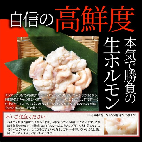 【しゃぶまる】国産牛 ホルモン 480g (240g×2袋) ほるもん 小腸 焼肉用 お得 焼肉 やきにく アウトドア お家焼肉 レジャー 冷凍 バーベキュー 肉 食材 セット_9