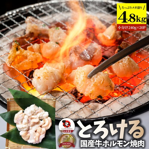 【しゃぶまる】国産牛 ホルモン 480g (240g×2袋) ほるもん 小腸 焼肉用 お得 焼肉 やきにく アウトドア お家焼肉 レジャー 冷凍 バーベキュー 肉 食材 セット_16