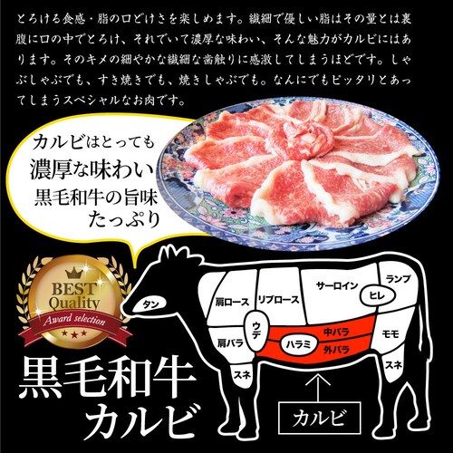 【しゃぶまる】肉 食品 お祝い 黒毛和牛 しゃぶしゃぶ すき焼き カルビスライス 300g 凍眠 テクニカン とろける ギフト プレゼント ( A4 〜 A5等級 ) 牛肉 赤身 贅沢 黒毛 和牛 国_8