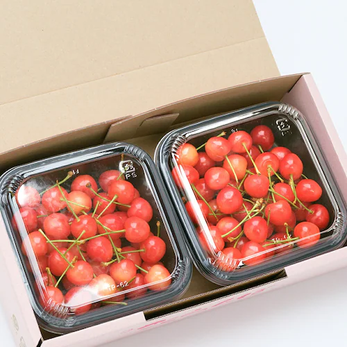 【出荷中】山形県産 さくらんぼ 佐藤錦 400g (秀品/Mサイズ/ばら詰め/200g×2p/クール冷蔵) ギフト 自宅用 家庭用_1