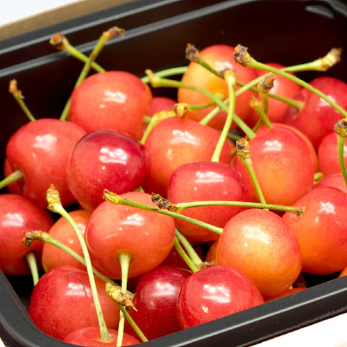 【出荷中】山形県産 さくらんぼ 佐藤錦 400g (秀品/Mサイズ/ばら詰め/200g×2p/クール冷蔵) ギフト 自宅用 家庭用_2