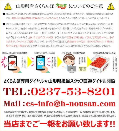 【出荷中】山形県産 さくらんぼ 佐藤錦 400g (秀品/Mサイズ/ばら詰め/200g×2p/クール冷蔵) ギフト 自宅用 家庭用_10