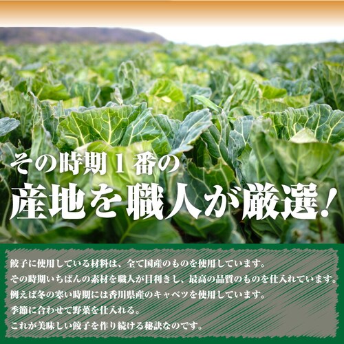 【しゃぶまる】手作り 純生 餃子30個入り 讃岐うどん製法で皮を作りました! 餃子 ぎょうざ 讃岐うどん 讃岐 香川 ギョウザ_6