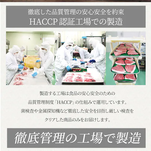 【しゃぶまる】チーズ イン ハンバーグ メガ盛り 1kg (100g×10枚) 冷凍 惣菜 お弁当 チーズインハンバーグ 業務用 温めるだけ レンチン 冷食_15