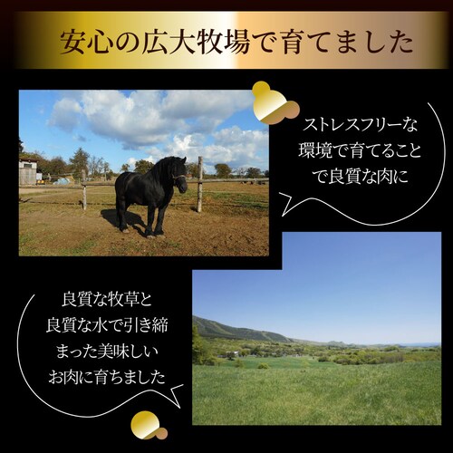 【しゃぶまる】贅沢 馬刺し しっとり上赤身 3人前(約150g)たれつき ばさし おつまみ 酒の肴 惣菜 通販 お得 かんたん 簡単 ダイエット 肉 食品 誕生日 ギフト プレゼント_7